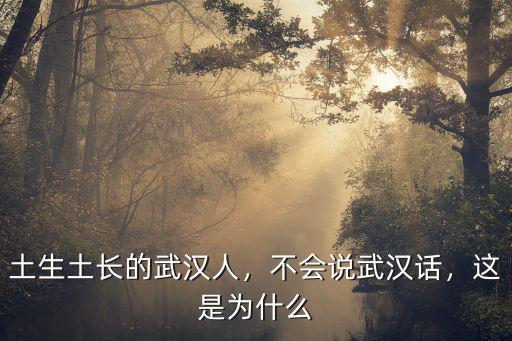 土生土長的武漢人，不會說武漢話，這是為什么