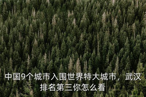 武漢人怎么看黃石,武漢排名第三你怎么看
