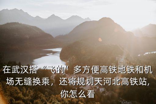 在武漢搭“飛的”多方便高鐵地鐵和機場無縫換乘，還將規劃天河北高鐵站,你怎么看