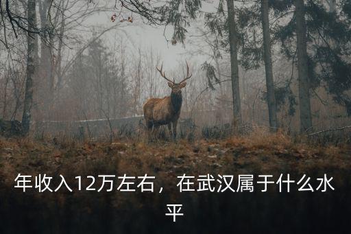 年收入12萬左右，在武漢屬于什么水平