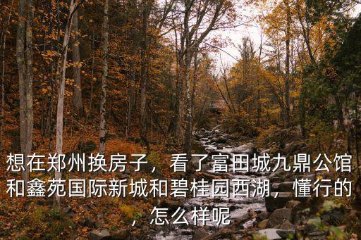 想在鄭州換房子，看了富田城九鼎公館和鑫苑國際新城和碧桂園西湖，懂行的，怎么樣呢