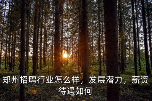 鄭州招聘行業(yè)怎么樣，發(fā)展?jié)摿Γ劫Y待遇如何