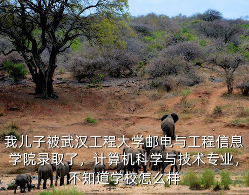 武漢科技大學計算機科學與技術學院怎么樣,計算機科學與技術專業