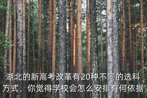 湖北高考改革怎么改,湖北高考改革3 3