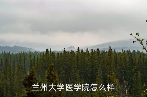 武漢大學陳蘭州怎么樣,蘭州大學怎么樣