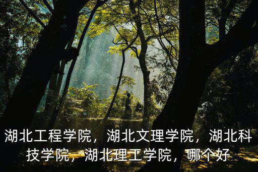 湖北工程學院，湖北文理學院，湖北科技學院，湖北理工學院，哪個好