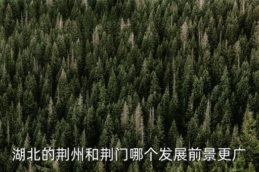 湖北的荊州和荊門哪個(gè)發(fā)展前景更廣