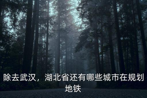 武漢城市怎么規(guī)劃的,如何評(píng)價(jià)武漢的城市規(guī)劃