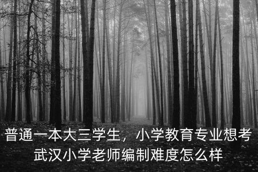 普通一本大三學生，小學教育專業想考武漢小學老師編制難度怎么樣