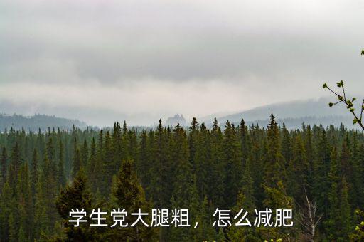 學生黨大腿粗，怎么減肥