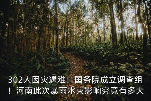 302人因?yàn)?zāi)遇難！國(guó)務(wù)院成立調(diào)查組！河南此次暴雨水災(zāi)影響究竟有多大