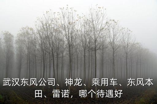 武漢東風科爾模具標準件有限公司待遇怎么樣,武漢東風汽配廠待遇怎么樣
