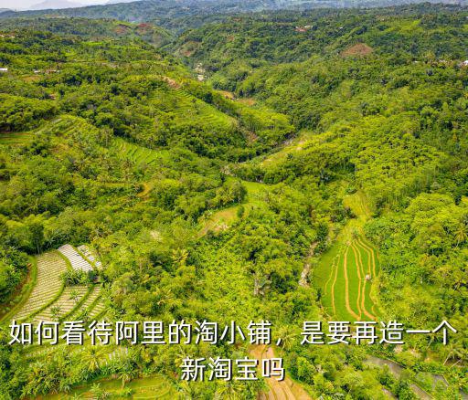 鄭州合法的阿里巴巴淘小鋪怎么樣,阿里巴巴的淘小鋪如何