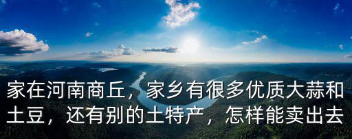 家在河南商丘，家鄉有很多優質大蒜和土豆，還有別的土特產，怎樣能賣出去