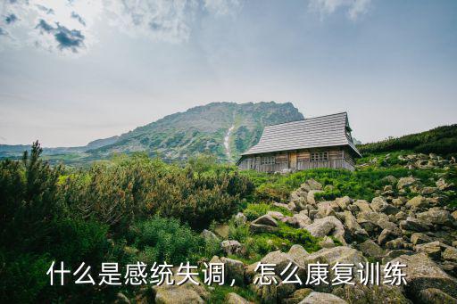 洛陽寶寶感統失調怎么康復,怎么康復訓練