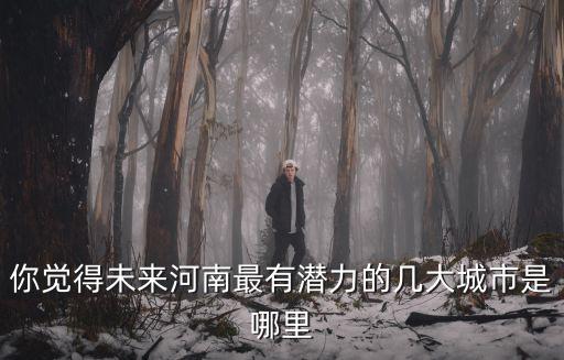 你覺得未來河南最有潛力的幾大城市是哪里