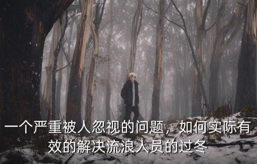 一個(gè)嚴(yán)重被人忽視的問題，如何實(shí)際有效的解決流浪人員的過冬