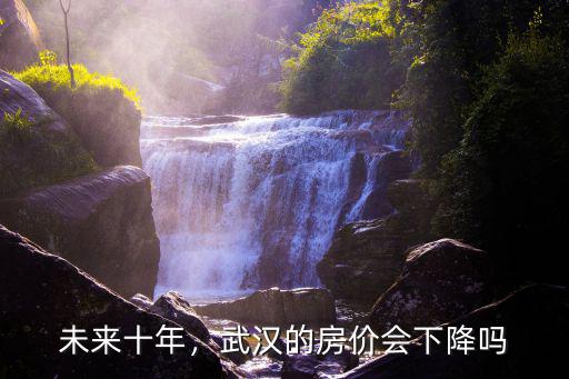 武漢房價(jià)十年后會(huì)怎么樣,武漢的房價(jià)會(huì)下降嗎