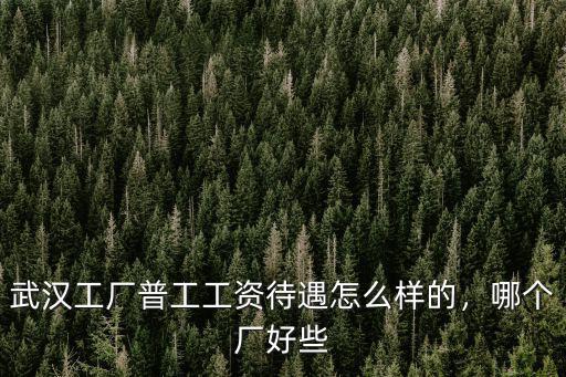 武漢工廠普工工資待遇怎么樣的，哪個廠好些