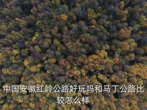 中國安徽紅嶺公路好玩嗎和馬丁公路比較怎么樣