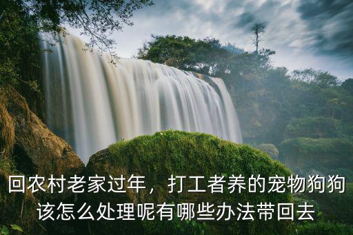 回農(nóng)村老家過(guò)年，打工者養(yǎng)的寵物狗狗該怎么處理呢有哪些辦法帶回去