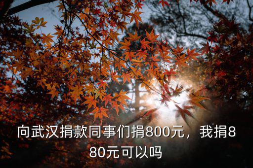普通市民怎么捐款給武漢,去哪給武漢捐款
