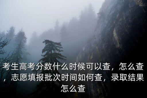 考生高考分數什么時候可以查，怎么查，志愿填報批次時間如何查，錄取結果怎么查