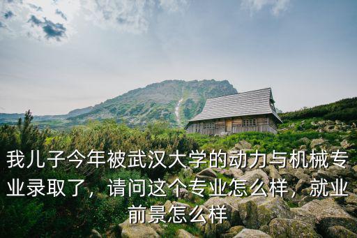我兒子今年被武漢大學的動力與機械專業錄取了，請問這個專業怎么樣，就業前景怎么樣