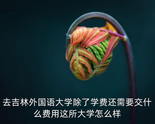 去吉林外國語大學除了學費還需要交什么費用這所大學怎么樣