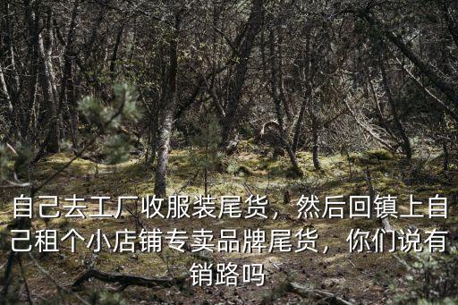 自己去工廠收服裝尾貨，然后回鎮上自己租個小店鋪專賣品牌尾貨，你們說有銷路嗎