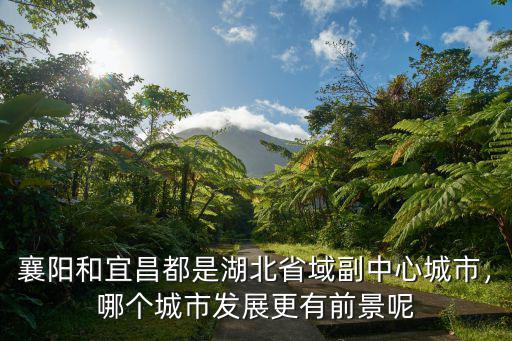 襄陽和宜昌都是湖北省域副中心城市，哪個城市發展更有前景呢