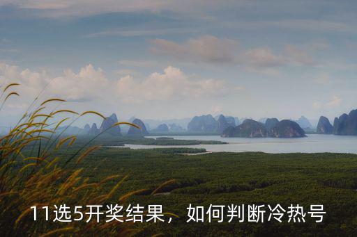 湖北11選五開獎結果怎么看,11選5開獎結果