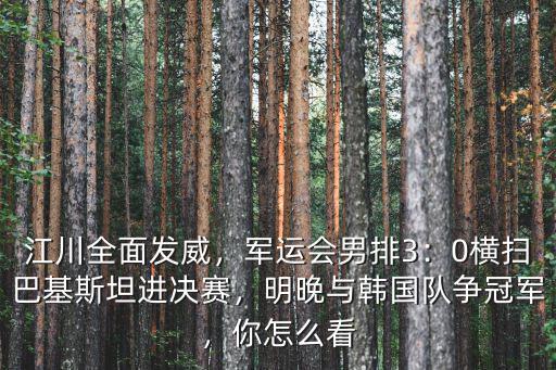 武漢軍運會開幕式巴基斯坦人怎么看,這次軍運會開幕式