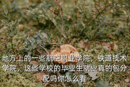 怎么入學武漢鐵路職業技術學院,孩子在鐵路職業技術學院上學