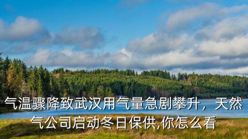 氣溫驟降致武漢用氣量急劇攀升，天然氣公司啟動冬日保供,你怎么看