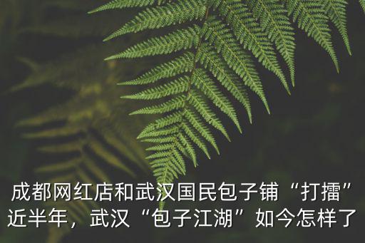 武漢和善園包子怎么樣,在武漢開早餐店怎么樣