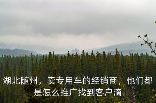 湖北隨州，賣(mài)專(zhuān)用車(chē)的經(jīng)銷(xiāo)商，他們都是怎么推廣找到客戶滴