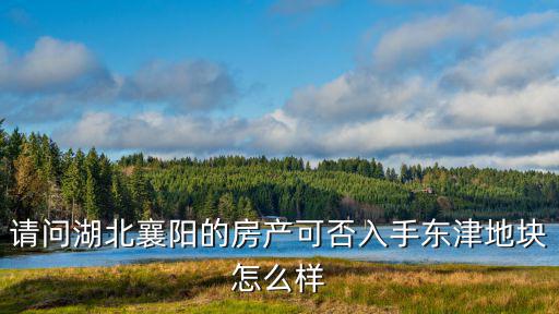 襄陽鴻睿房產怎么樣,請問湖北襄陽的房產可否入手
