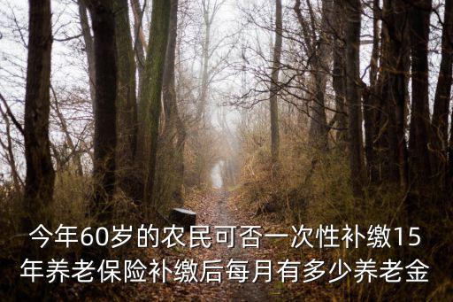 鄭州居民養老金補繳哪多少利息,補繳后每月有多少養老金