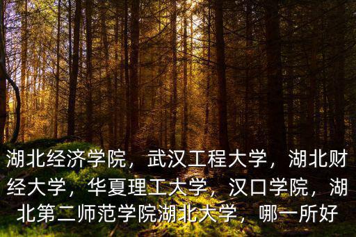 湖北經濟學院不知怎么樣,湖北經濟學院
