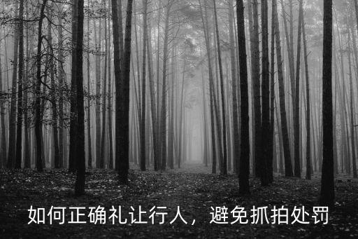 襄陽禮讓行人怎么處理,機動車禮讓行人