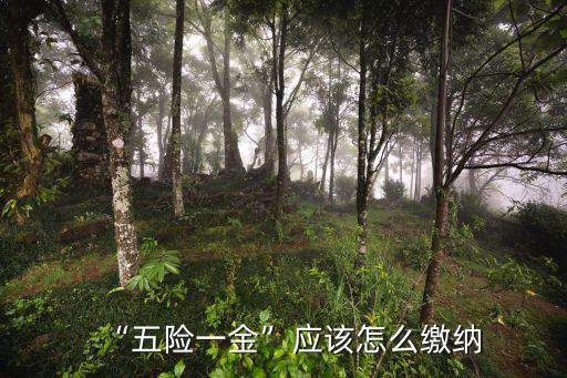 “五險一金”應該怎么繳納