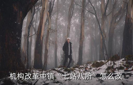 機構改革中鎮“七站八所”怎么改