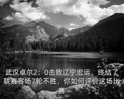 武漢卓爾2：0擊敗遼寧宏運，終結了聯賽客場7輪不勝，你如何評價這場比賽