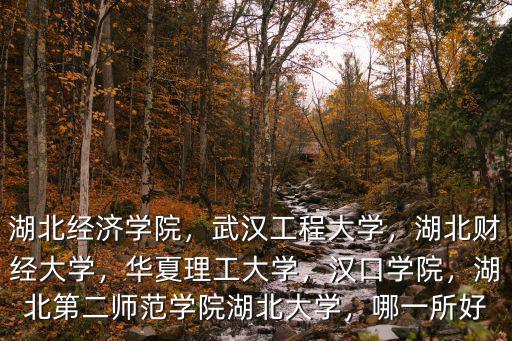 湖北經(jīng)濟(jì)學(xué)院和武體比怎么樣,湖北經(jīng)濟(jì)學(xué)院