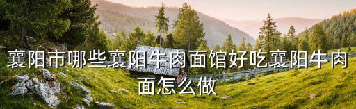 襄陽牛排面怎么做的,襄陽牛肉面怎么做
