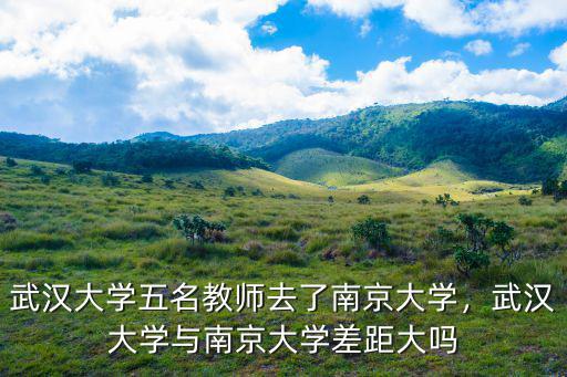 武漢大學五名教師去了南京大學，武漢大學與南京大學差距大嗎