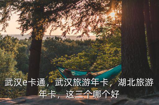 湖北旅游一卡通怎么辦,湖北旅游年卡