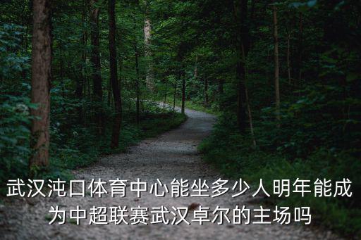 武漢體育館怎么樣,武漢體育學院怎么樣