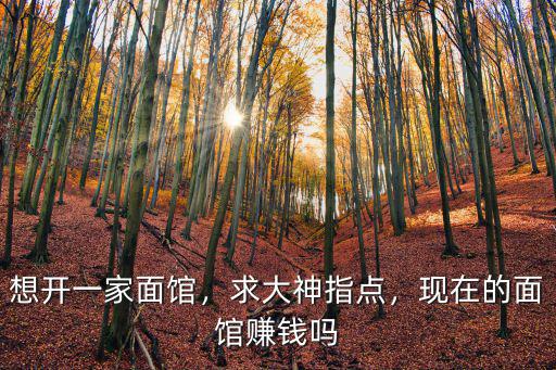 武漢開一家面館怎么樣,想開一家面館